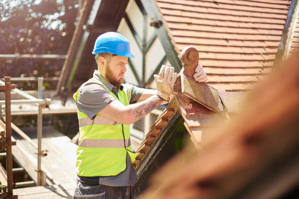 Best Metal Roofing Contractor  in Edwardsvle, IL